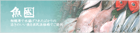 魚國