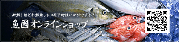 魚國オンラインショップ